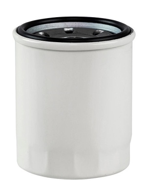 filtr-maslyanyy-mercury-omax_660993