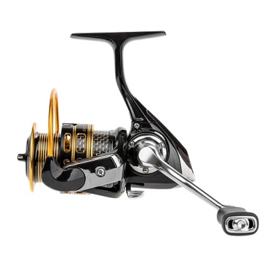 Arctica Z 2000 Ryobi-2