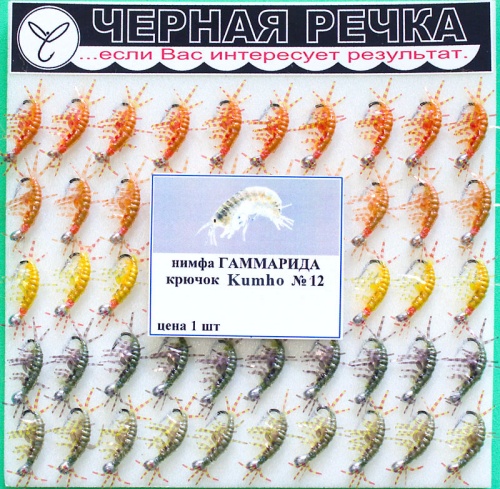 Nimfa Gammarida 12