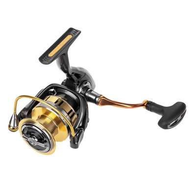 Riken BG 4000 Ryobi-4