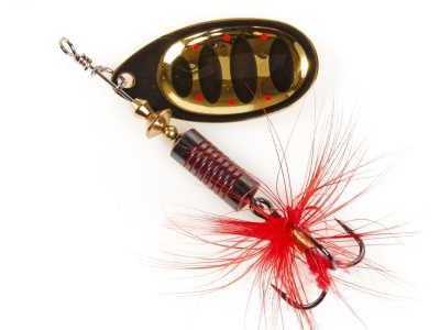 53b7n6369cgtqphh0hh8rifd86so5umo