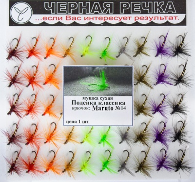 Mushka Podenka classika 14