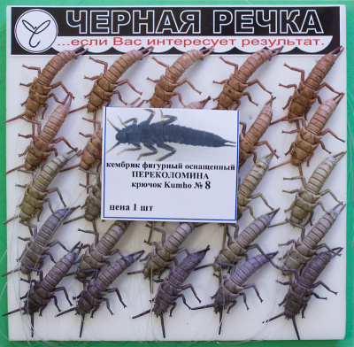 Kembrik Perecolomina 8