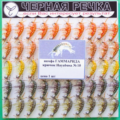 Nimfa Gammarida 10
