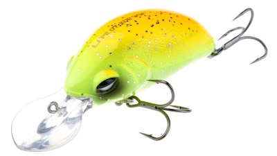 ww8urz3anpvko54s07o81iajaoxykk0p