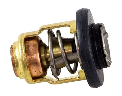 termostat-yamaha-60-70-omax_662098