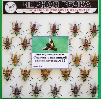 Mushka Slepen s pautinkoi 12