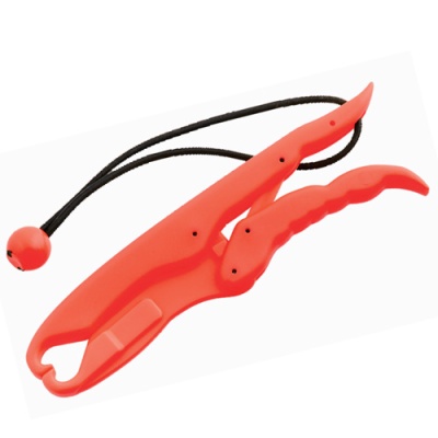 0ef2ae6ecfa1ce3136d9917ea21567e8