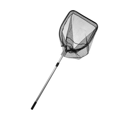 tn39ddfoza11tvqebiilxyb807if9b12