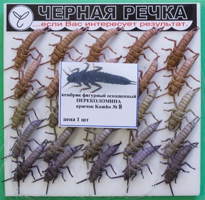 Kembrik Perecolomina 8