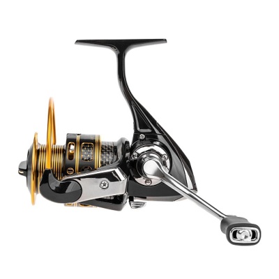 Arctica Z 3000 Ryobi-2