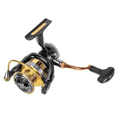 Riken BG 3000 Ryobi-1