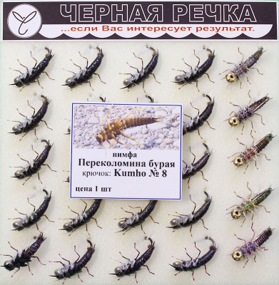 Nimfa Perecolomina buraya 8