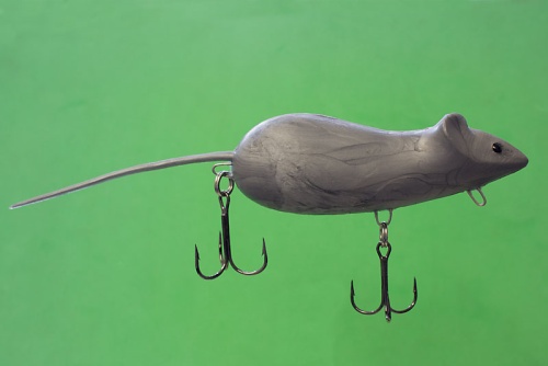 Primanka mish seraya