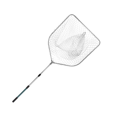 evtut126svfk21ie23dqq8nni919039h