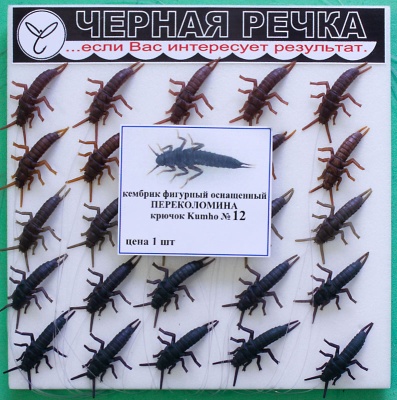 Kembrik Perecolomina 12 6957 12