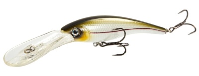 nehnmkkvj1ct9qochakoszs303mhfkbl