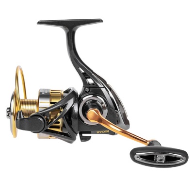 Riken BG 3000 Ryobi-2