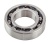 podshipnik-yamaha-omax_660656