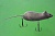 Приманка плавающая Мышь 35г тр Mustad №2, №3 цв серый (Черная Речка) Фарватер-ДВ г. Благовещенск