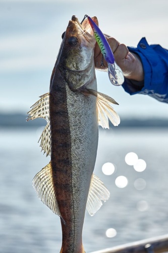 z5xh0kz5d61tryvojsce4y7da8qnfu4f