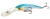 velbjw5nb608dr3f5wt710olg4pjrrk2