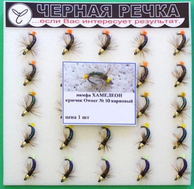 Nimfa Hameleon 10