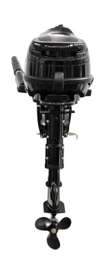 motor-lodochnyy-marine-rocket-mrf6hs_698440_4082574192