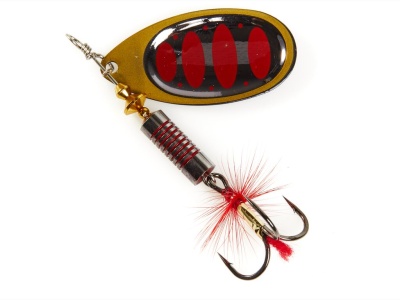 kntw88y8x1zm9wehx9i04qo29jo8gvur