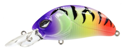 vqveokv2kow1j9yt1jrn2re8d0dst813