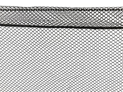 c0gr3yw1n8t3n5nidz85a8dqqwpsua54