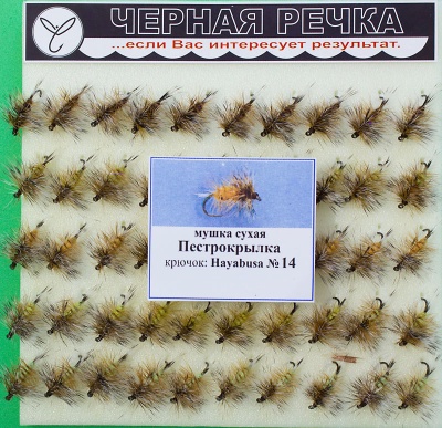 Mushka Pestrokrilka 14