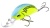 h12grdo3awfoerpbpac6ac4y59o1p31b