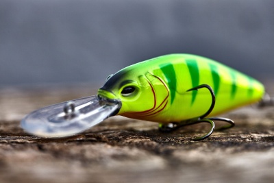 rp78jxtypvasjgube340r8qdcdnedsjj