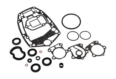 remkomplekt-reduktora-yamaha-e60-omax_651985