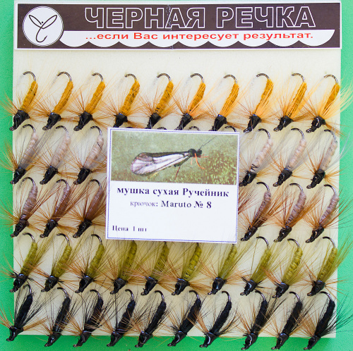 Mushka Rucheinik 8