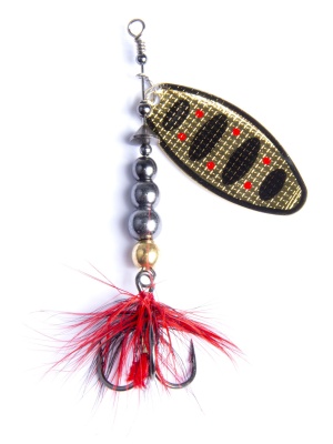 02e5q4ti7o0fvyi8q4092kzvj1i69gss